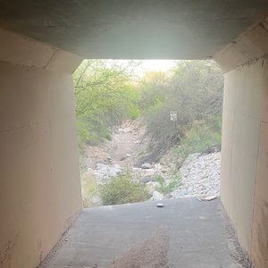 Meet your Posher, Ari